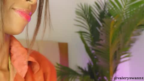 Snapshot of valery_swan1 chatting on 11-24-25, 04:07 Valery swan1 online show from 11-24-25, 04:07