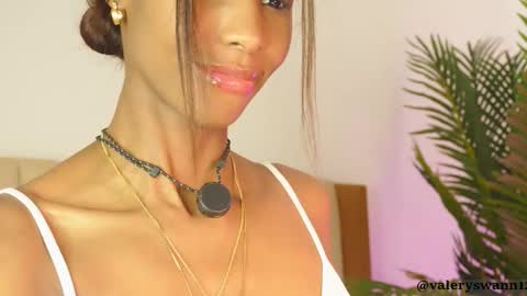 Snapshot of valery_swan1 chatting on 11-28-25, 03:58 Valery swan1 online show from 11-28-25, 03:58