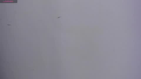 Snapshot of valka_ross chatting on 10-13-25, 11:16 VALKA ROSS online show from 10-13-25, 11:16