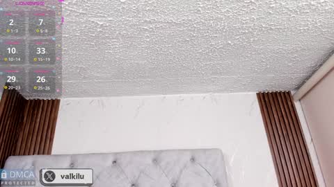 valkilu11 online show from 01-22-25, 12:06