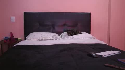 Vamp Noah and Dan online show from 02-11-26, 01:49