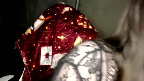 Var Kiss online show from 02-14-26, 03:20