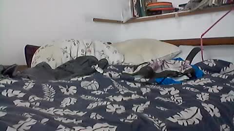 Snapshot of vasaryus chatting on 07-19-26, 04:00 vasaryus online show from 07-19-26, 04:00