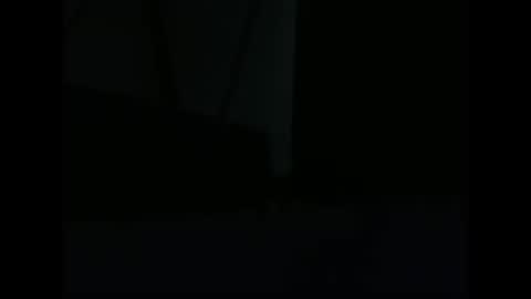 Snapshot of vendi1 chatting on 12-28-24, 09:52 vendi1 online show from 12-28-24, 09:52