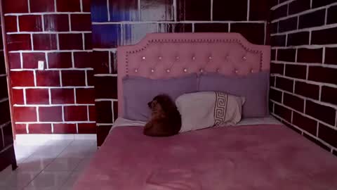 Snapshot of venus_megan chatting on 03-08-25, 10:34 emily independent account MY conextion 1100 GTM to 17hr GTM online show from 03-08-25, 10:34