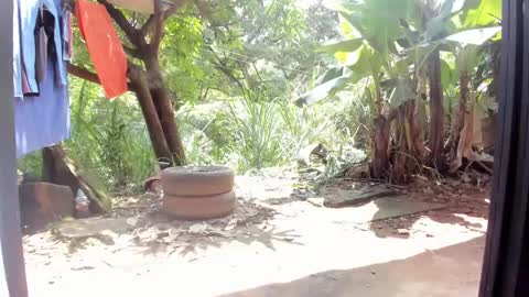 venus ... zeus sheer  online show from 02-26-25, 05:07