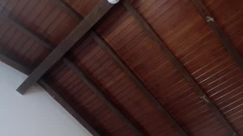 Snapshot of venusevans1 chatting on 02-04-25, 03:54 Venus Evans online show from 02-04-25, 03:54