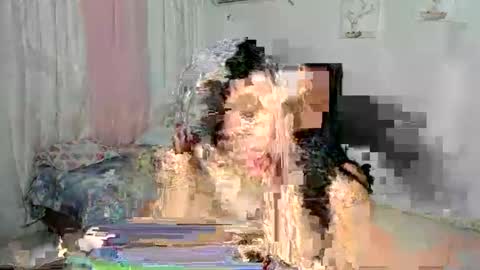 Snapshot of venuswilliamx chatting on 11-30-25, 02:04 venus online show from 11-30-25, 02:04