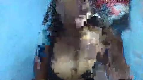 verolla31 online show from 02-02-25, 08:08