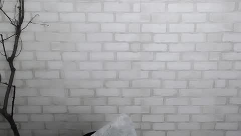 Snapshot of veryveryshygirl chatting on 12-28-24, 03:59 Ana online show from 12-28-24, 03:59