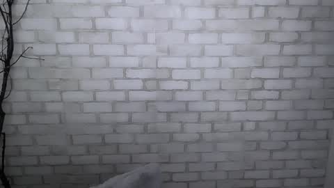 Snapshot of veryveryshygirl chatting on 12-30-24, 01:36 Ana online show from 12-30-24, 01:36