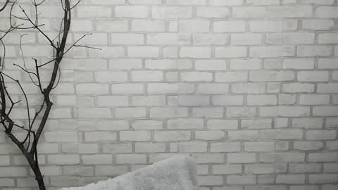 Snapshot of veryveryshygirl chatting on 01-28-25, 12:43 Ana online show from 01-28-25, 12:43