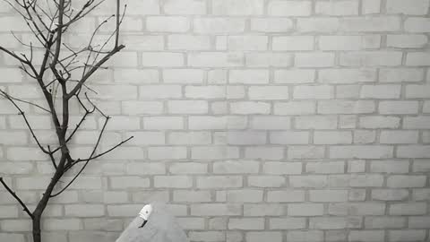 Snapshot of veryveryshygirl chatting on 02-03-25, 02:34 Ana online show from 02-03-25, 02:34