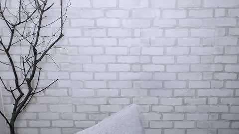 Snapshot of veryveryshygirl chatting on 03-06-25, 11:25 Ana online show from 03-06-25, 11:25