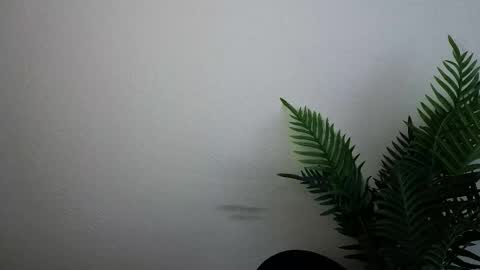 Snapshot of veryveryshygirl chatting on 09-30-25, 12:10 Ana online show from 09-30-25, 12:10