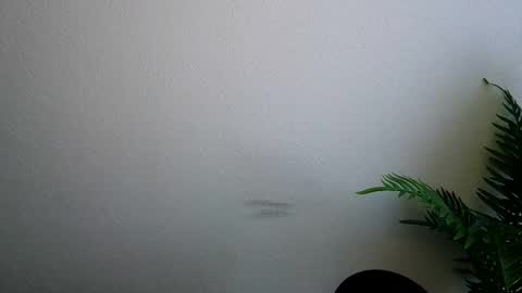 Snapshot of veryveryshygirl chatting on 02-05-26, 09:14 Ana online show from 02-05-26, 09:14