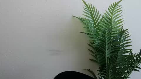 Snapshot of veryveryshygirl chatting on 07-04-26, 11:16 Ana online show from 07-04-26, 11:16
