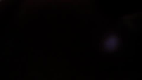 Snapshot of vicioushorse33 chatting on 12-14-24, 04:45 Sophie and Stan online show from 12-14-24, 04:45