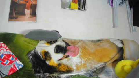 vicky manuela online show from 02-18-25, 11:30