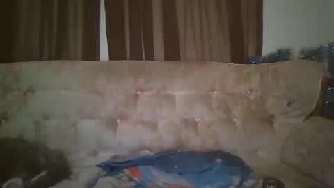vids1977 online show from 10-23-25, 08:24