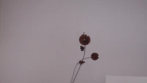 Snapshot of viiolettaaa chatting on 06-27-26, 10:37 viiolettaaa online show from 06-27-26, 10:37