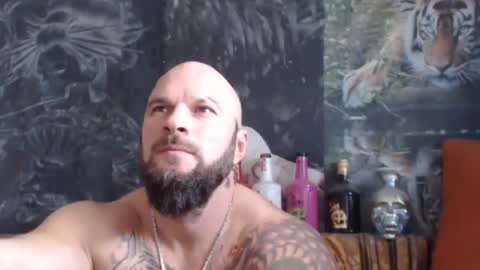 viking online show from 11-18-25, 07:46