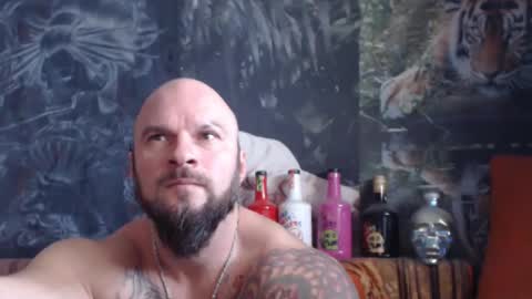 viking online show from 11-20-25, 07:19