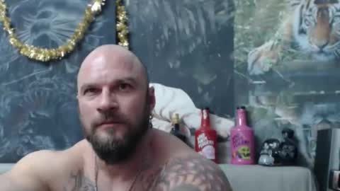 viking online show from 02-25-26, 08:51