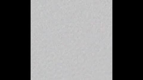 Vincent.  uncut 18cm online show from 12-17-24, 08:12