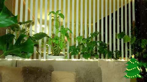 Violetta online show from 01-07-26, 11:18