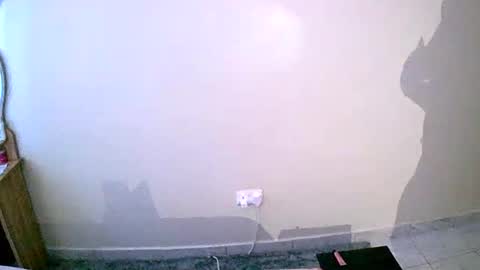 Snapshot of virtual_wifey chatting on 01-19-25, 01:22 Your Virtual Wife online show from 01-19-25, 01:22