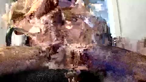horny guy online show from 05-29-26, 02:48