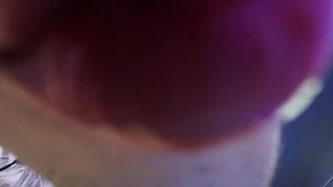 Snapshot of vittorio_cerati chatting on 05-29-26, 03:43 new acount online show from 05-29-26, 03:43