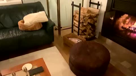 Snapshot of viviannexxx2022 chatting on 12-21-24, 11:56 Vivlove online show from 12-21-24, 11:56