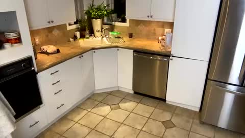 Snapshot of viviannexxx2022 chatting on 01-20-25, 11:35 Vivlove online show from 01-20-25, 11:35