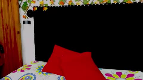 Snapshot of vskayper chatting on 01-11-26, 01:16 skay online show from 01-11-26, 01:16