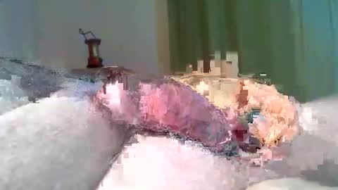 vukavuka99 online show from 03-08-26, 09:29