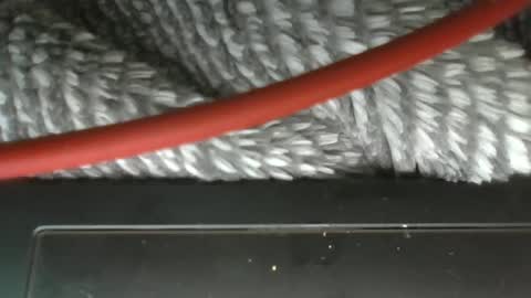 hung boy online show from 03-12-25, 03:57