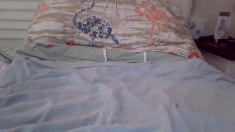 Snapshot of vwjim26 chatting on 09-26-25, 04:00 vwjim26 online show from 09-26-25, 04:00