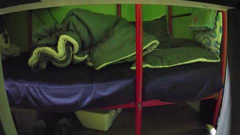 Kentaro online show from 03-24-26, 05:01