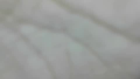 wangi_wangi online show from 01-10-26, 04:31