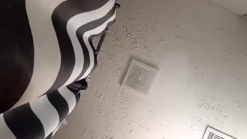 wanttowatch87 online show from 02-20-25, 07:34