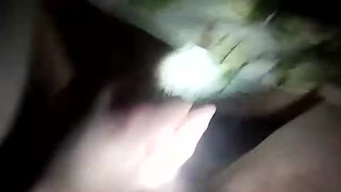 wariatos3 online show from 01-10-25, 12:17