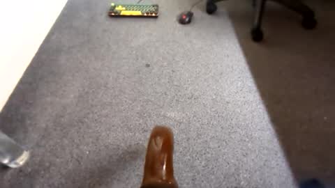 waterd4wg online show from 04-19-26, 06:10