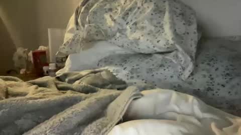 waveonce online show from 03-29-26, 11:32