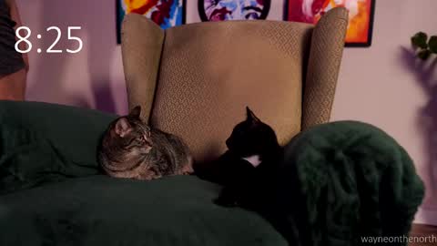 waynenorth online show from 02-22-26, 03:21