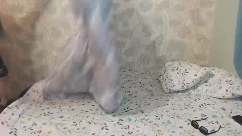 Lia and Artur online show from 12-22-25, 09:28