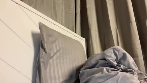 Snapshot of webcammaggie chatting on 05-10-26, 12:16 Maggie online show from 05-10-26, 12:16