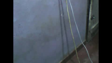 wela123456 online show from 11-01-25, 01:02