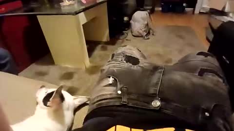 Snapshot of weloveeachothersrizz chatting on 12-05-25, 10:02 weloveeachothersrizz online show from 12-05-25, 10:02